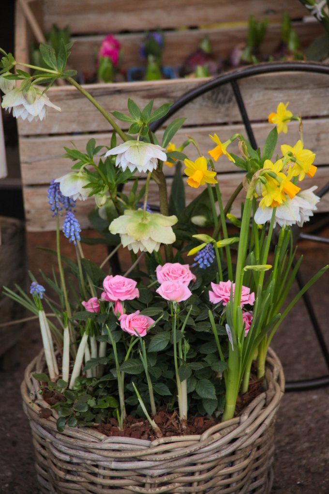 Un parfum de souvenir et de tendresse photo 1